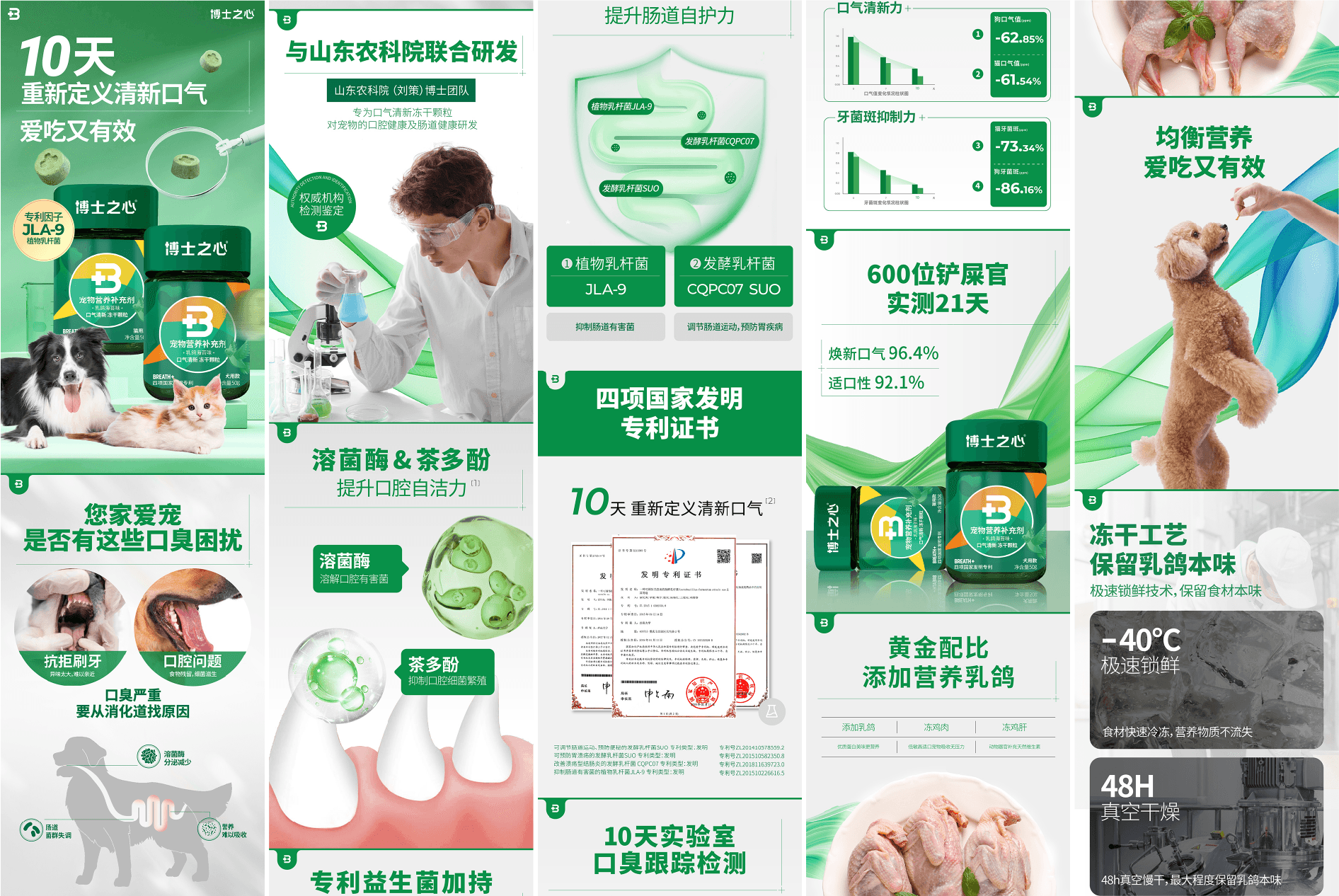 Boshizhixin project visual 7