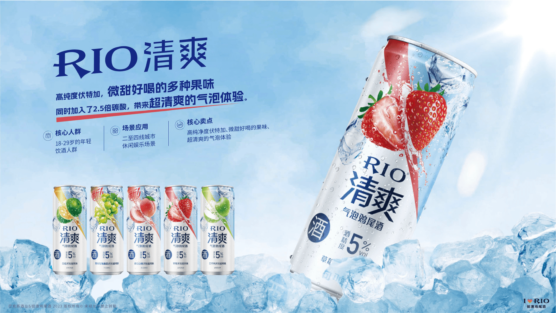 Rio project visual 3