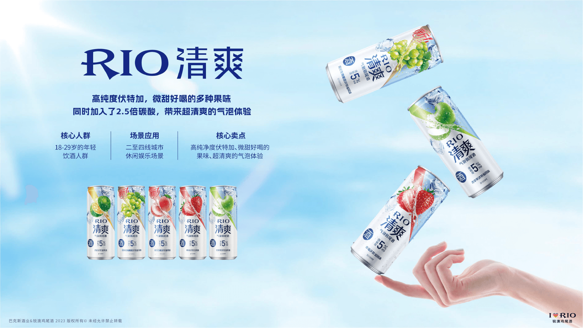 Rio project visual 4