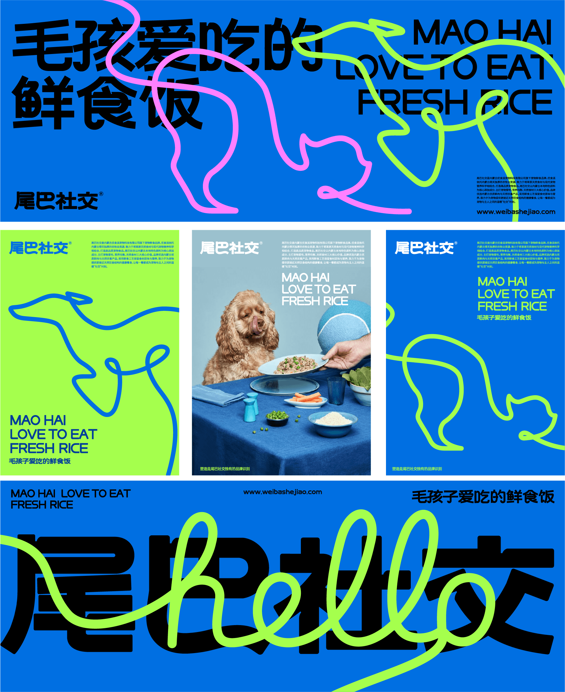 Weibashejiao project visual 2