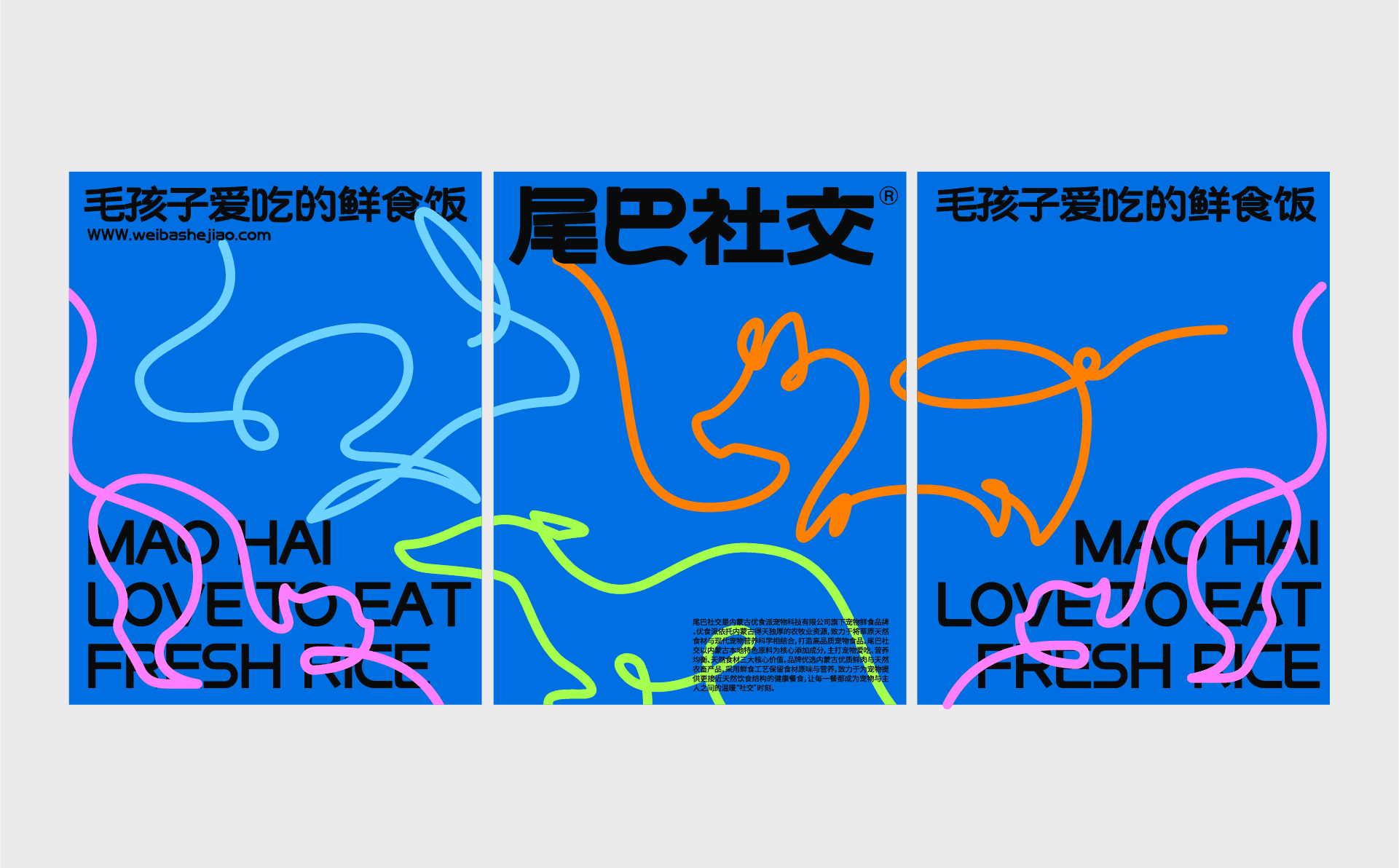 Weibashejiao project visual 6