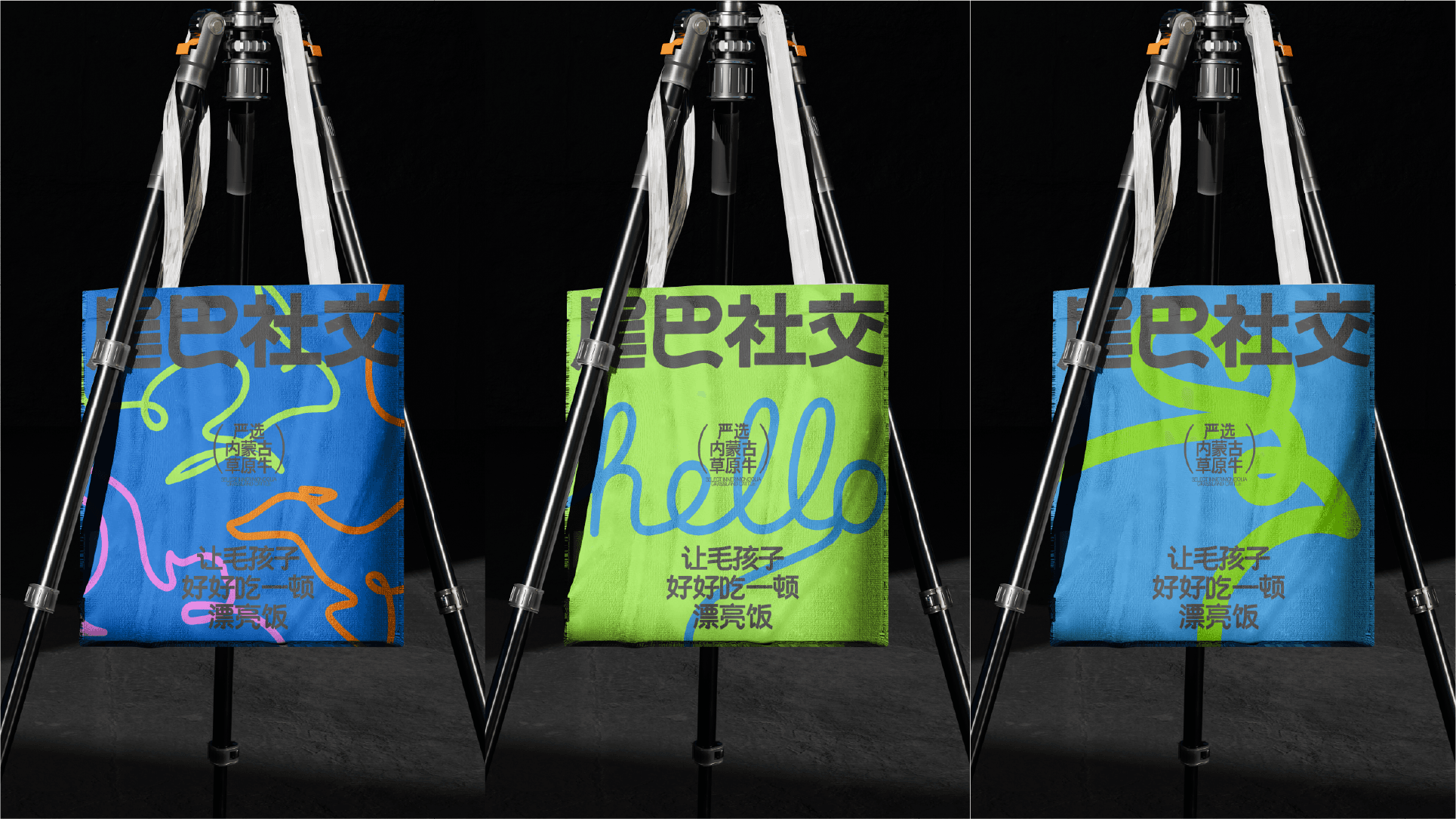 Weibashejiao project visual 8